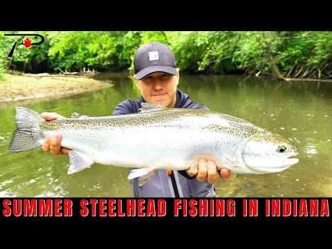 Summer Steelhead Fishing in Indiana