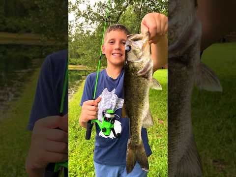 How to Catch a Big Bass with the Smallest tiny Fishing Rod! Kids Fishing #kidfishing #fishing