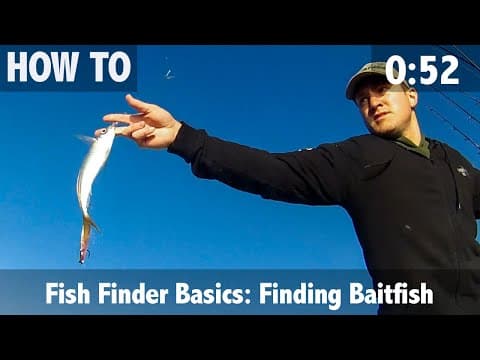 Fish Finder Basics: Finding Baitfish