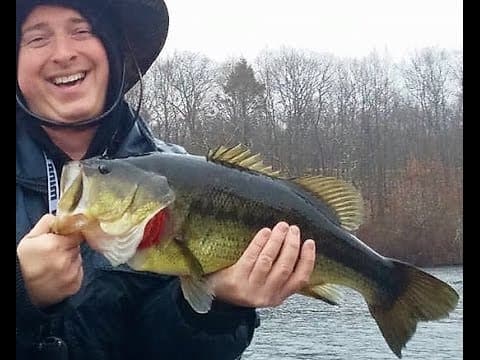 Catch large mouth bass in the thick nasty weeds.