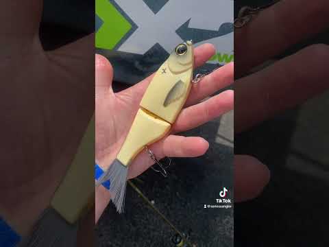 Best Glidebait Ever Made?