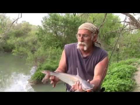 Catch and Cook ..... Campfire Catfish On The San Antonio River