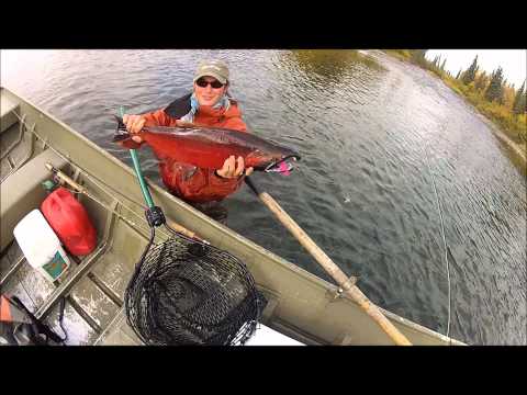 Fly Fishing Alaska with Royal Coachman Lodge