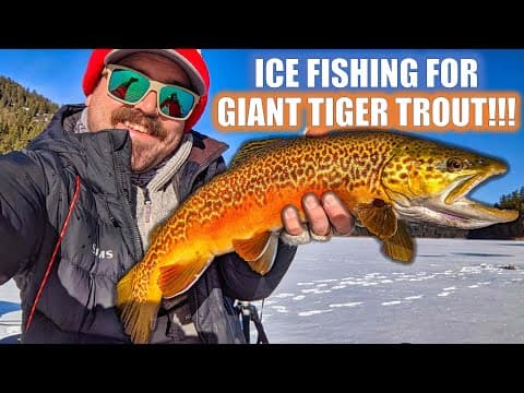 Ice Fishing for Tiger Trout