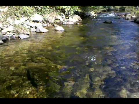 Fly Fishing