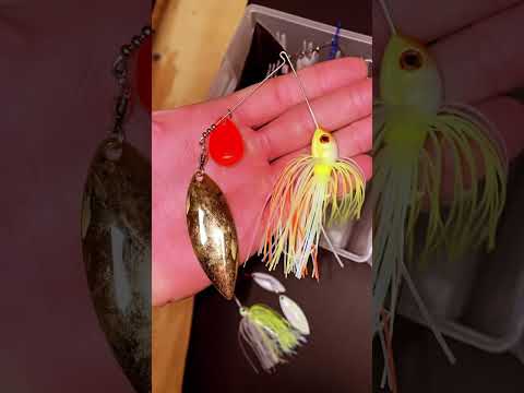 The Best Spinnerbaits for Catching Pressured Fish in Stained Water! #BassFishing
