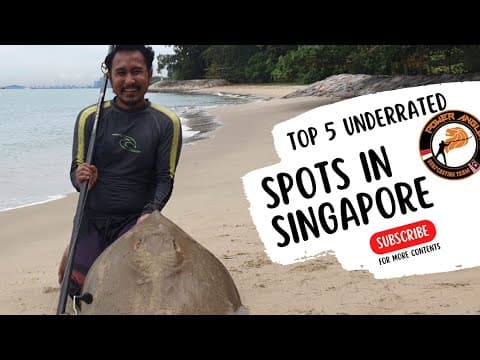 Top 5 Underrated Surfcasting Spots in Singapore