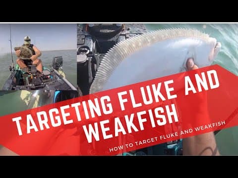 How to Target Fluke and Weakfish - Outgoing Tide ( how to catch fluke and weakfish )