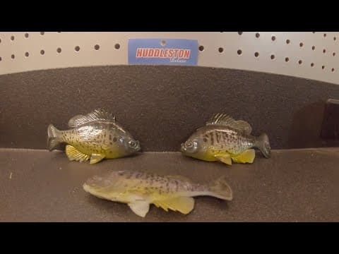 Huddleston Deluxe Bluegill Swimbait Review