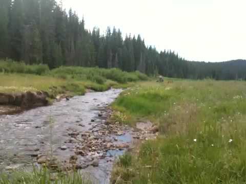 Fly-fishing