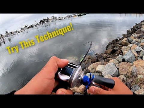 San Diego Fishing From Shore - "Feels good to be back"