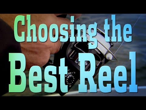 The Best Spinning Reel for Smallmouth Bass Fishing