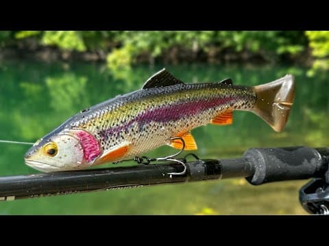 Fishing a TROUT SWIMBAIT for BIG BASS!