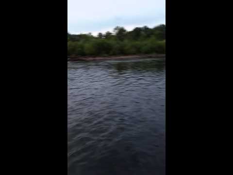 Jackson Lake Dam fishing