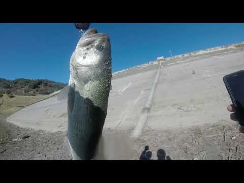 5 pound bass at Guadalupe reservoir