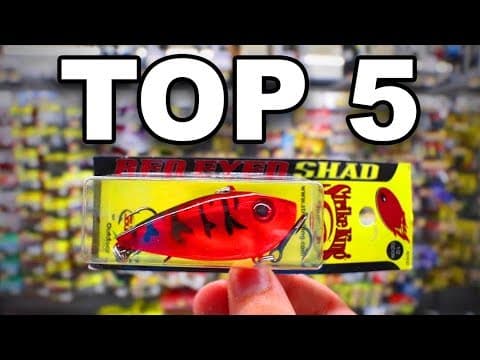 Top 5 Winter Bass Fishing Lures (Catch Big Fish)