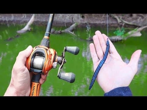 Catch 15x MORE Bass - TRY THIS! (Bass Fishing Tips)