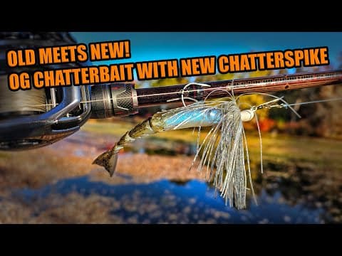 Fishing The Original Chatterbait with new Z-Man ChatterShad for Fall Bass
