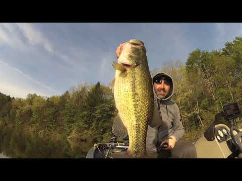 Bass Fishing in Beltzville Lake, PA