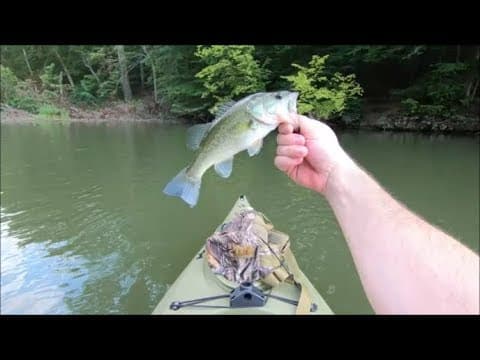 Got kicked out! intro to Baltimore city fishing series!
