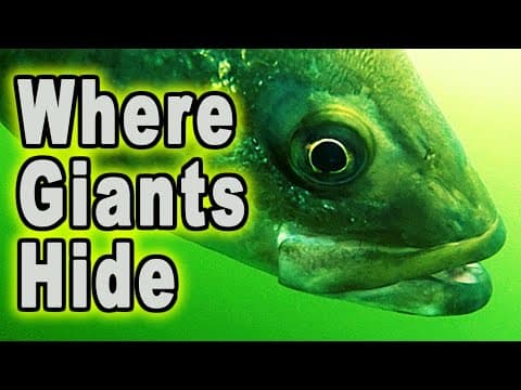 The Secret to Tennessee River Striped Bass