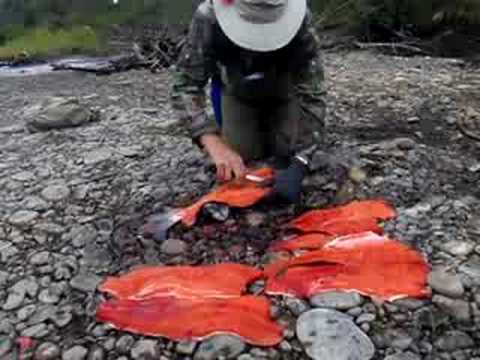 Filleting Sliver Salmon in Alaska