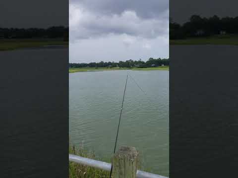 Fishing On The Intercoastal Waterway In South Carolina