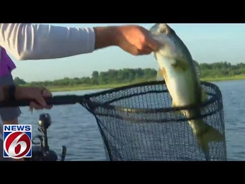 Lake Toho: The Bass Fishing Capital in Kissimmee