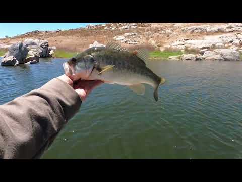 Bass Fishing, Fresno, CA ( Eastman Lake)