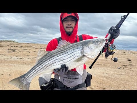 30 pound Striper caught at the mouth of Plum Island, Massachusetts Fishing 5/23/2025