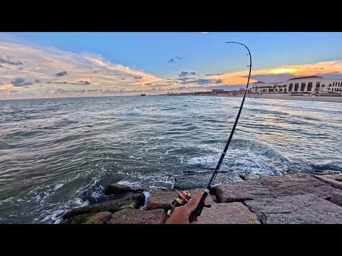 Fishing the Galveston Seawall with a bucket of shrimp (Catch, Clean, Cook) (S8 E5)
