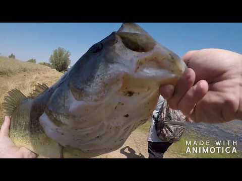 DsBassBite Rancho Murieta #2 My PB