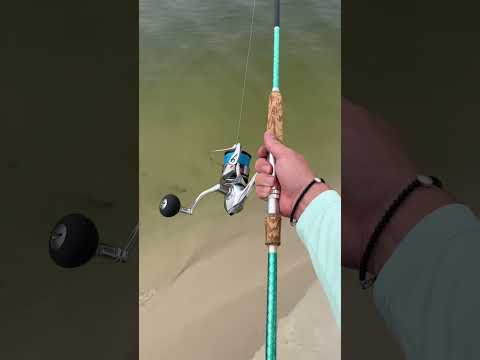 Best Inshore Fishing Setup!