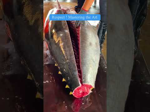 Precision and Skill Filleting Luxurious Bluefin Tuna Otoro #bluefintuna #otoro #sashimi hd
