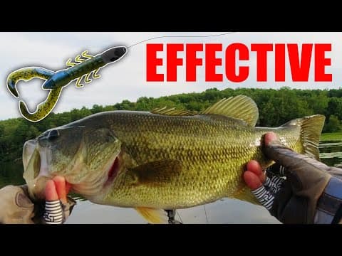 EFFECTIVE Bass Fishing Techniques in the SUMMER - Lake Arthur Fishing