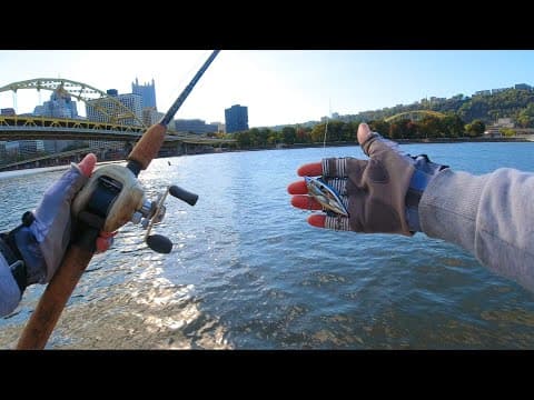 Urban Fishing in Pittsburgh - Multi Species Caught on the Allegheny River