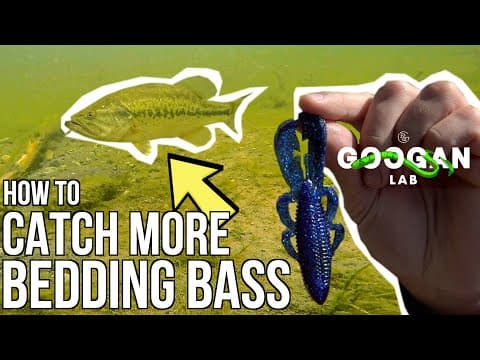 HOW TO CATCH More BEDDING BASS! ( TOP 5 TECHNIQUES )