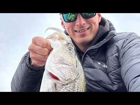 BASS, STRIPER, PERCH & PICKEREL! Beltzville Lake February Fishing