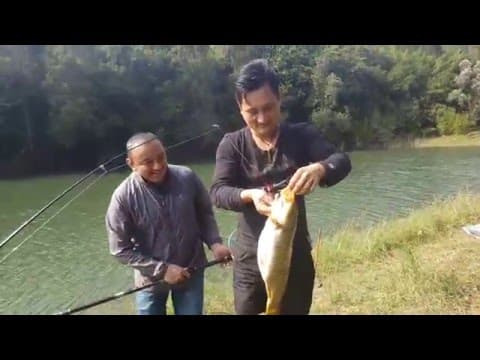 Carp fishing in Tai Lam Water Reservoir Hong Kong