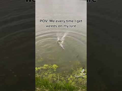 I do this all the time #moss #bass #fishing #weeds