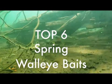 Top 6 Baits for Spring Walleye Fishing | Walleye Fishing Tips 2019 by Piscifun