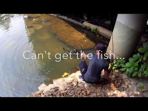 Catfish in Clear River   Hong Kong Lure Fishing