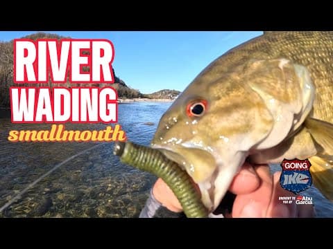 Epic Smallmouth Action at Harper&#39;s Ferry! Ned Rig Secrets Revealed