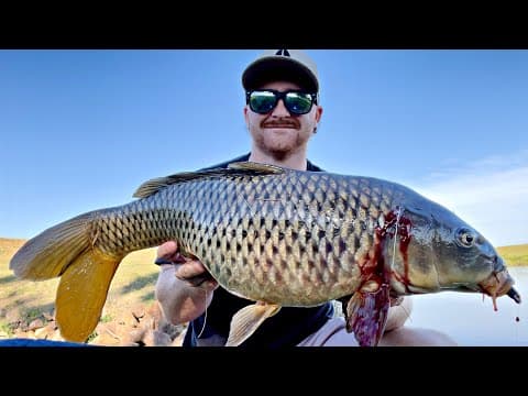 Unexpected item in Bassing area | Landbased fishing Maitland