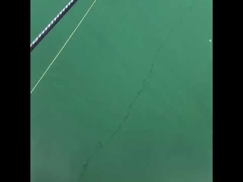 Crazy Kingfish Vs Squid Sydney Harbour