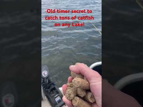 Catch Tons Of Catfish On Any Lake With This Oldtimer Secret!#catfish