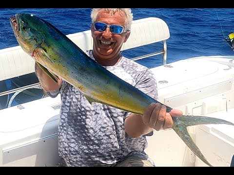 How to Catch Key Largo Dolphin Using Williamson Trolling Lures &amp; Best Live Bait