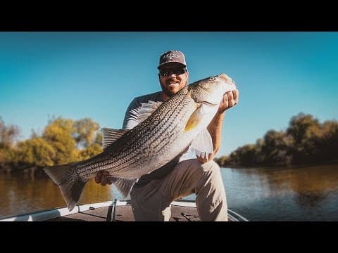 How To Catch Striped Bass