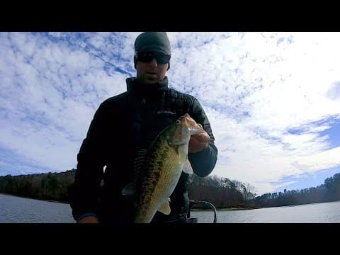 prefishing lake martin for a tournament late January 2021