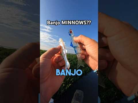 BANJO MINNOWS ARE LEGIT 😱#bassfishing #shorts